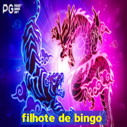 filhote de bingo