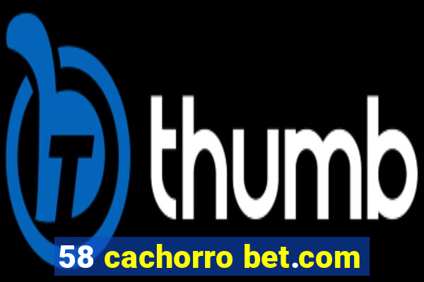 58 cachorro bet.com