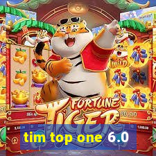 tim top one 6.0