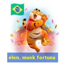 elon. musk fortuna