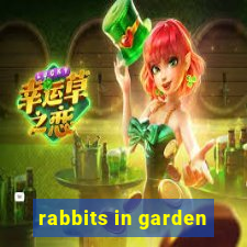 rabbits in garden