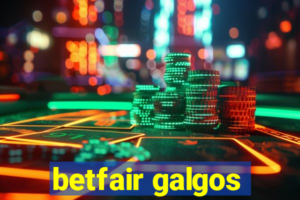 betfair galgos