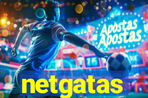 netgatas