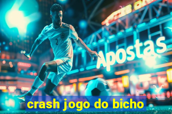 crash jogo do bicho