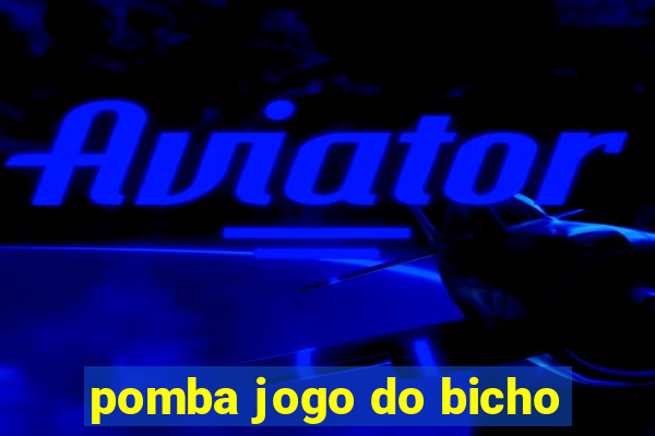 pomba jogo do bicho