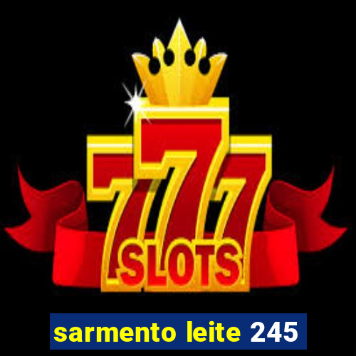 sarmento leite 245