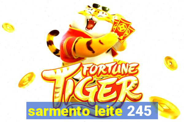 sarmento leite 245