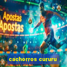 cachorros cururu