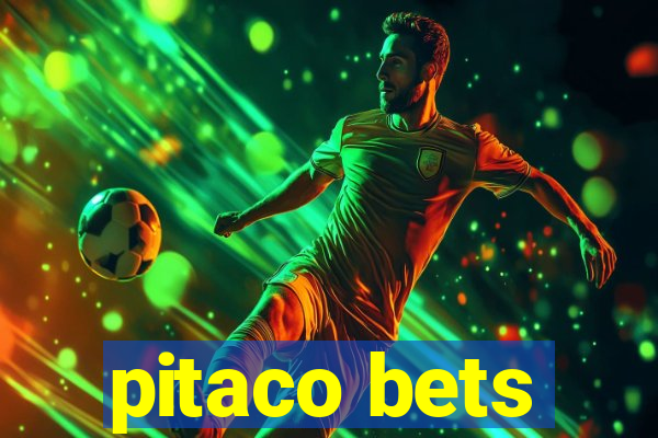 pitaco bets