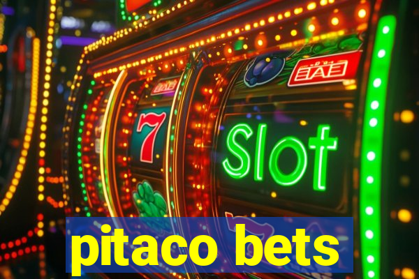 pitaco bets