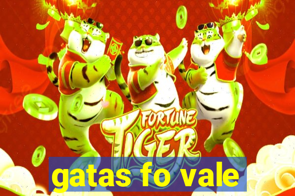 gatas fo vale