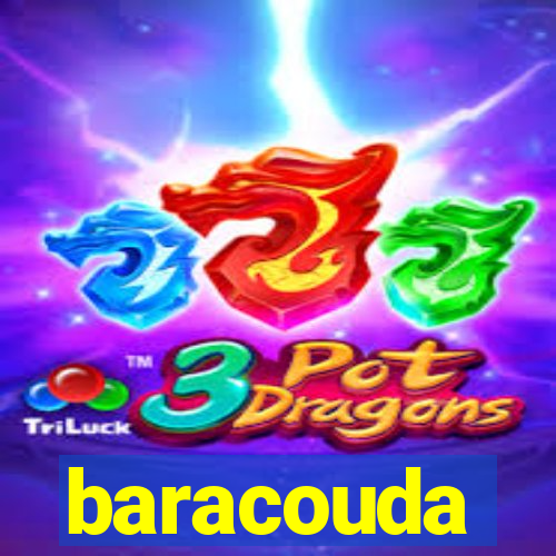 baracouda