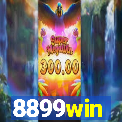 8899win