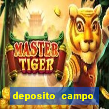 deposito campo grande santos