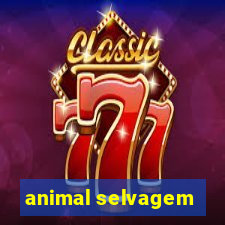 animal selvagem