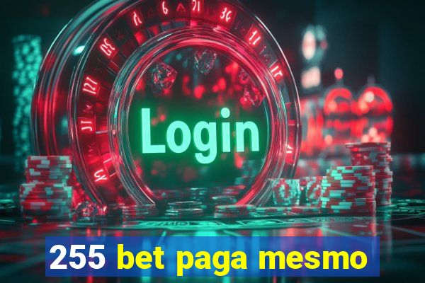 255 bet paga mesmo