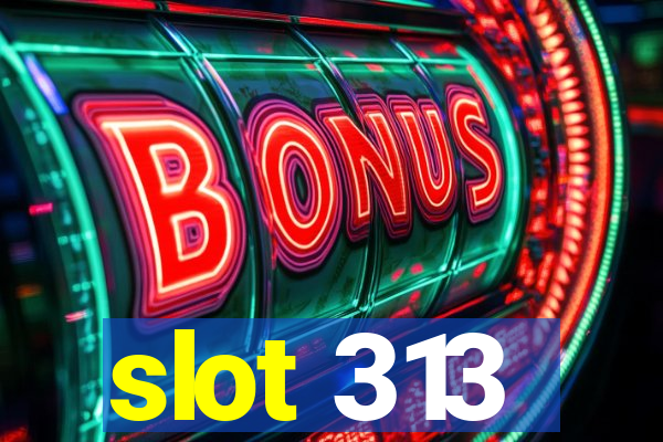 slot 313