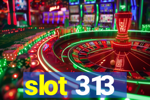 slot 313