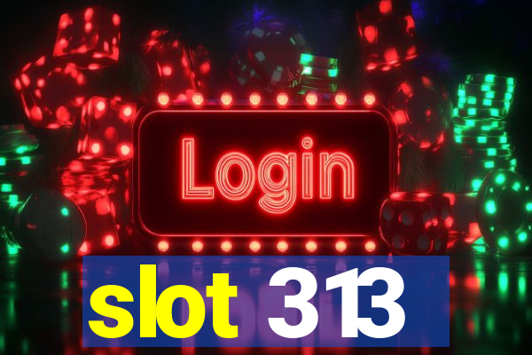 slot 313