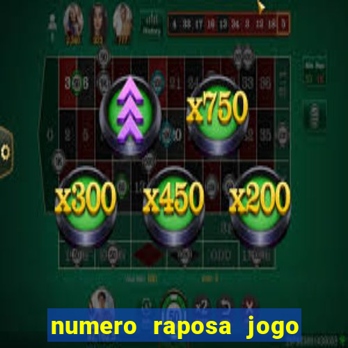 numero raposa jogo do bicho