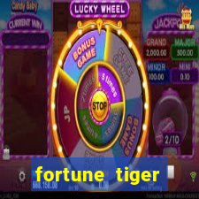 fortune tiger cartao de credito