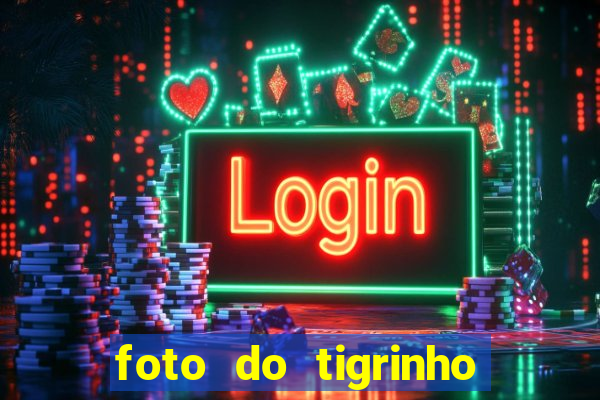 foto do tigrinho do jogo